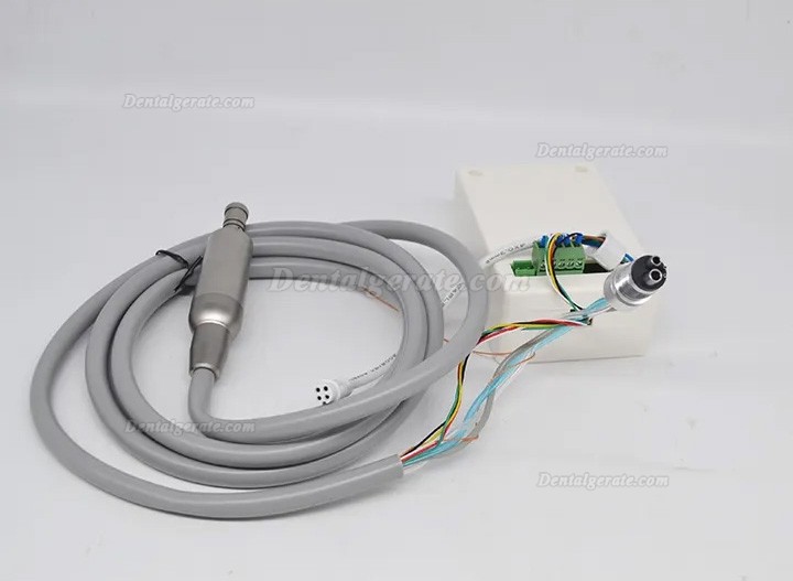 Eingebauter B&uuml;rstenloser Mikromotor Zahnmedizin mit LED f&uuml;r Zahnarztst&uuml;hle
